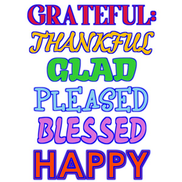 Grateful Day 2023 Back Thumbnail